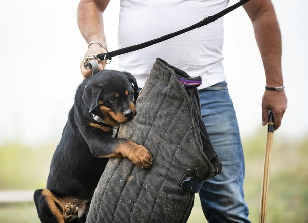 Come garantire la continuità operativa di una piattaforma di trading online in caso di attacchi cyber?